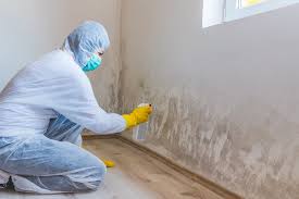 Trusted Ellaville, GA Mold Inspection Experts